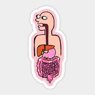 Colorful Illustration of the Digestive System - Med School Anatomy Physiology Sticker